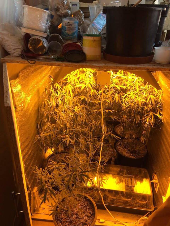 Как оборудовать шкаф для выращивания марихуаны как катать коноплю
