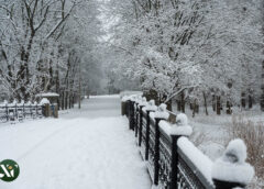 Журавлівський гідропарк, зима, сніг