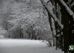 Журавлівський гідропарк, зима, сніг