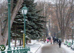 Сад Шевченка, Харків. зима