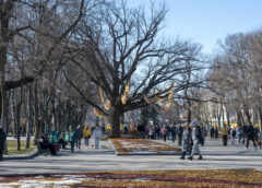 ALT: Головна алея Саду Шевченка в Харкові під сонячним весняним світлом, весна 2026 року