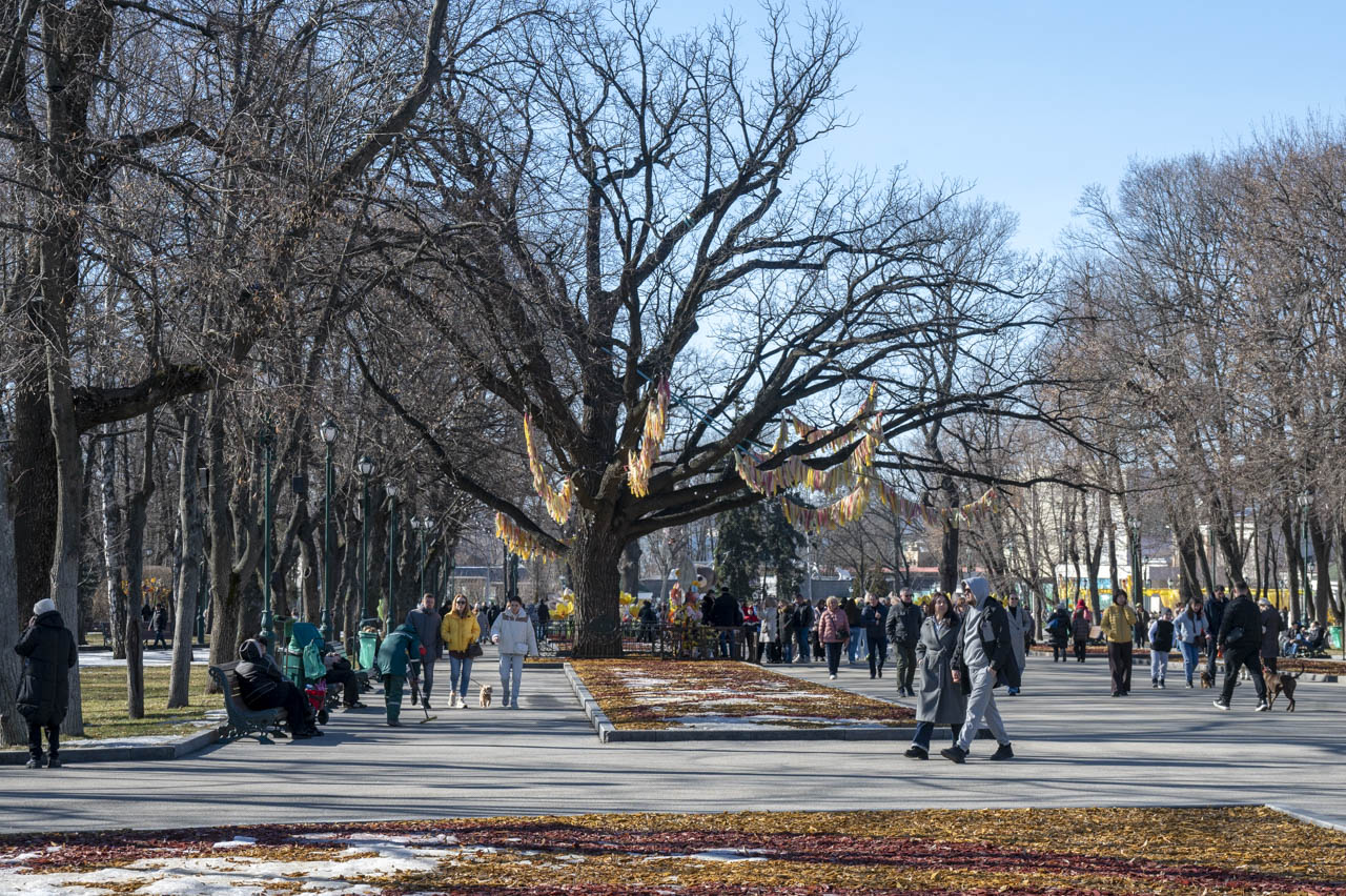 ALT: Головна алея Саду Шевченка в Харкові під сонячним весняним світлом, весна 2026 року