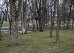 Парк імені Квітки-Основ’яненка у Харкові 16 березня 2026 року, весняний вигляд паркової території