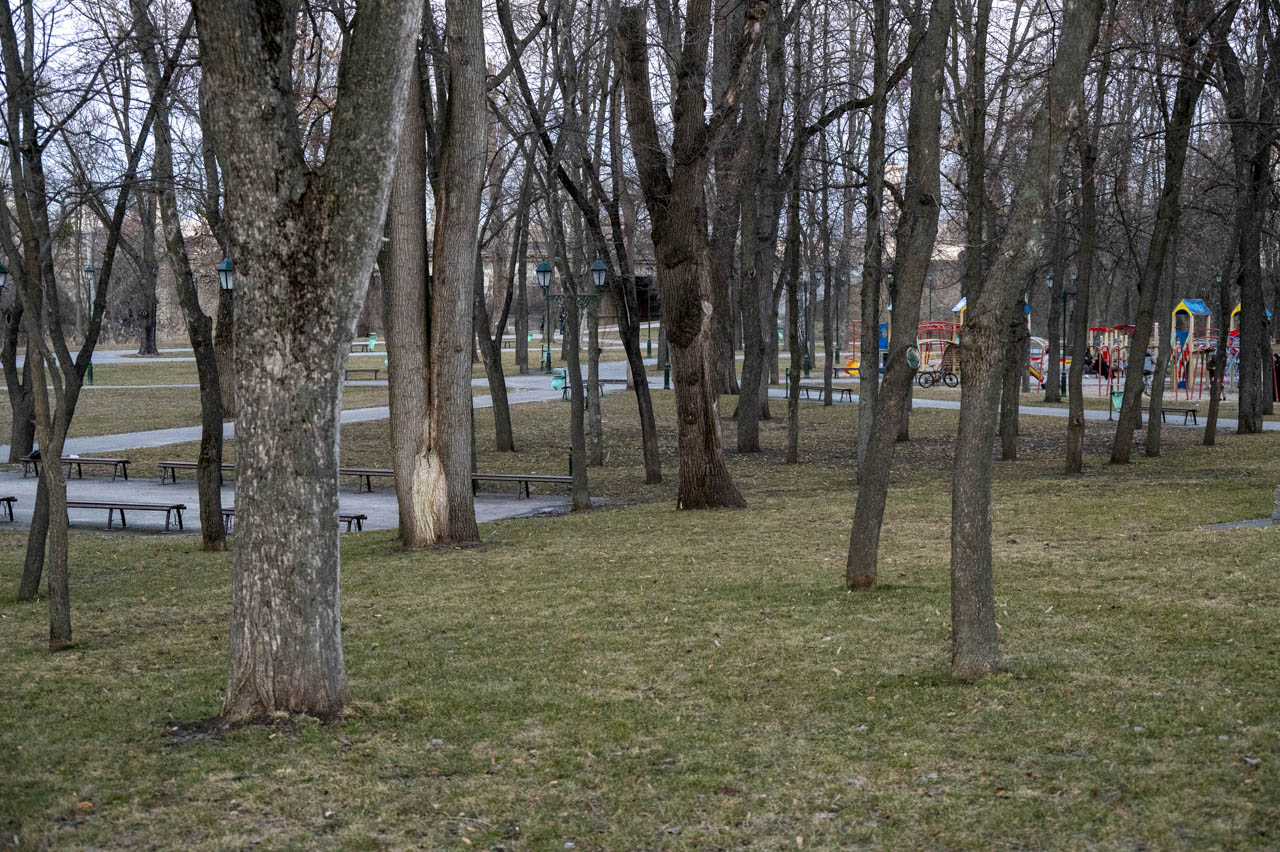 Парк імені Квітки-Основ’яненка у Харкові 16 березня 2026 року, весняний вигляд паркової території