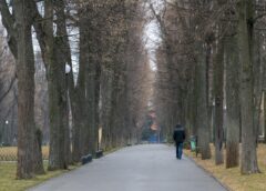 Алея в центральному парку Харкова навесні 2026 року, хмарна погода без опадів
