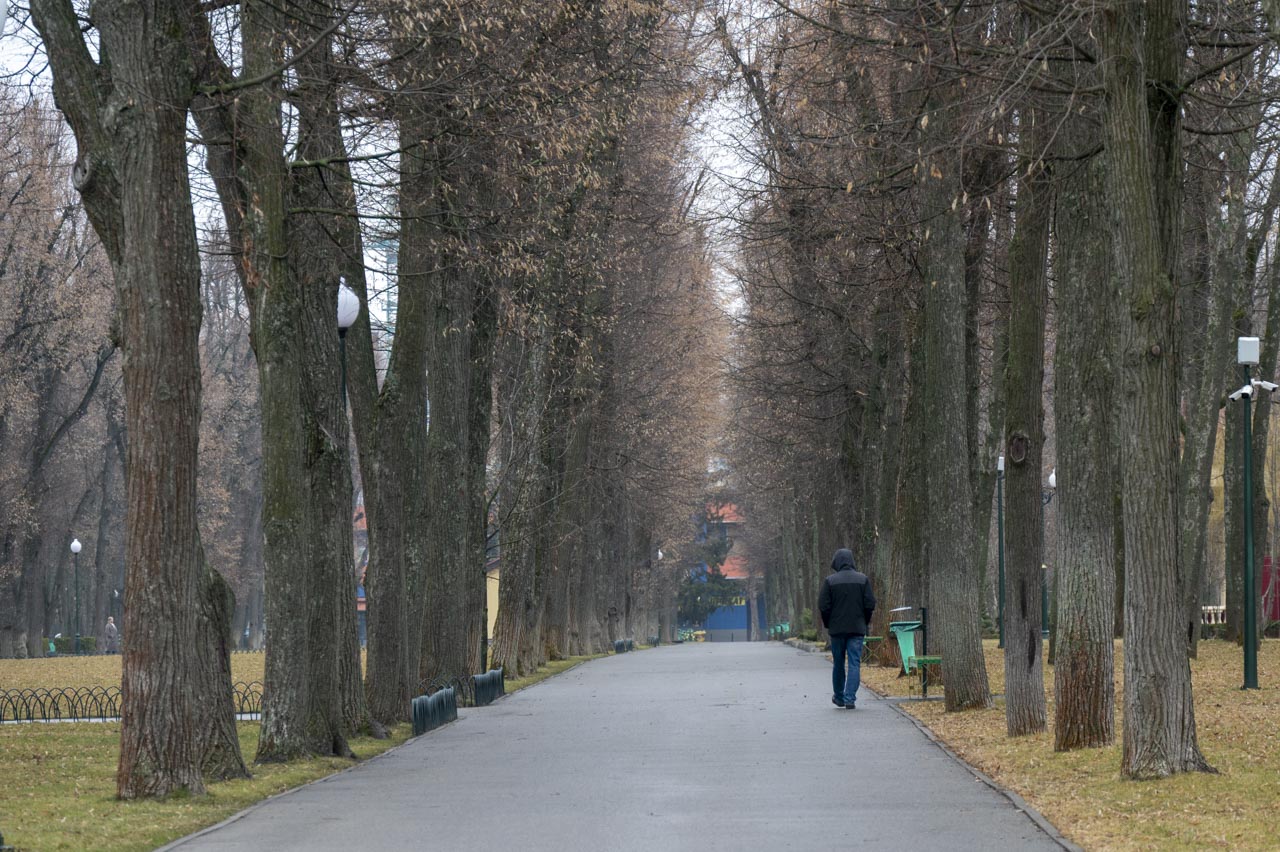 Алея в центральному парку Харкова навесні 2026 року, хмарна погода без опадів