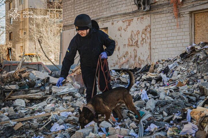 Пошукові собаки працюють разом із ДСНС у Харкові, березень 2026